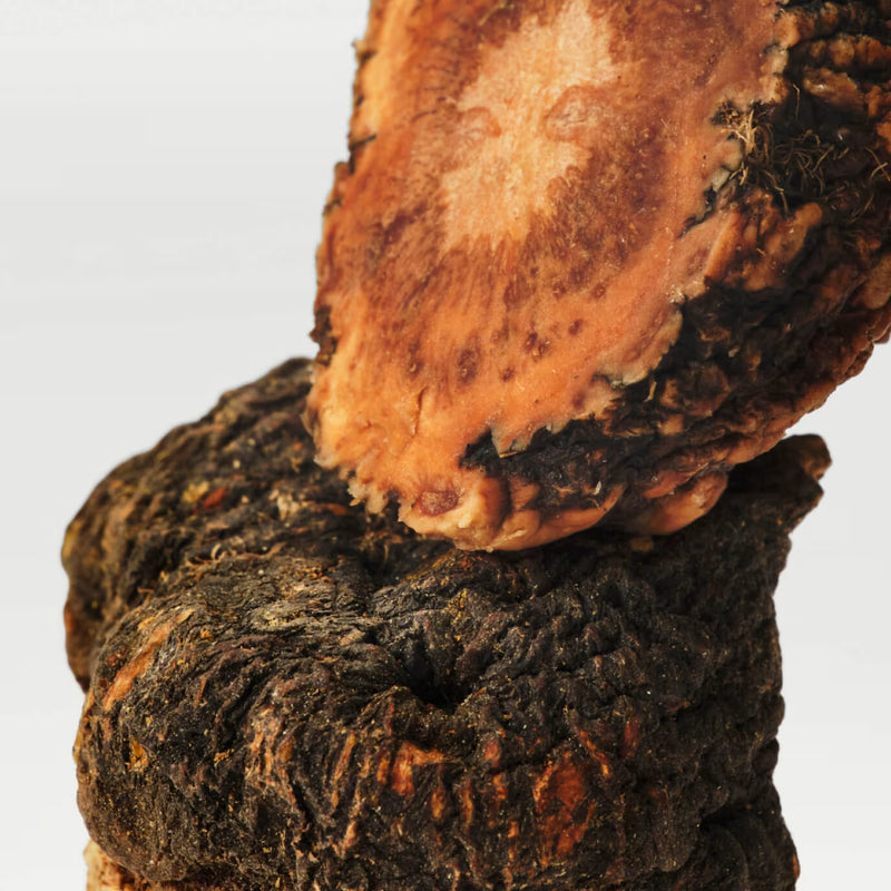 Astaxanthin